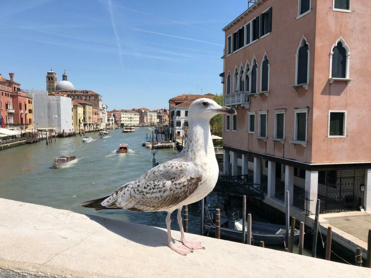 Regina Studium Apartamento Venecia